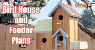 Bird House Plans