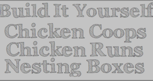 Chicken coop plans - PDF Download - runs - nesting boxes.