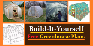 greenhouse plans