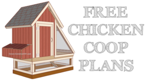 4x8 chicken coop plans - free PDF download - Construct101.