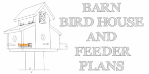 Barn bird house and feeder plans
