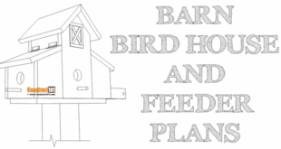 Barn bird house and feeder plans