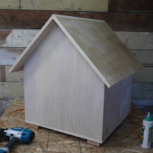 Dog House Build Construct101