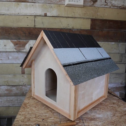 Dog House Build Construct101